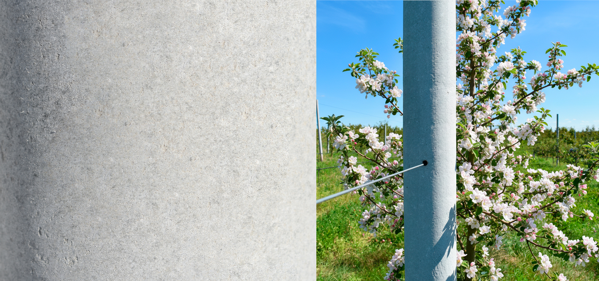 сельское хозяйство